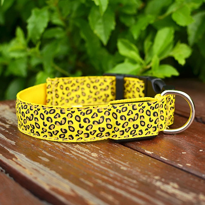 Collar LED Para Mascotas
