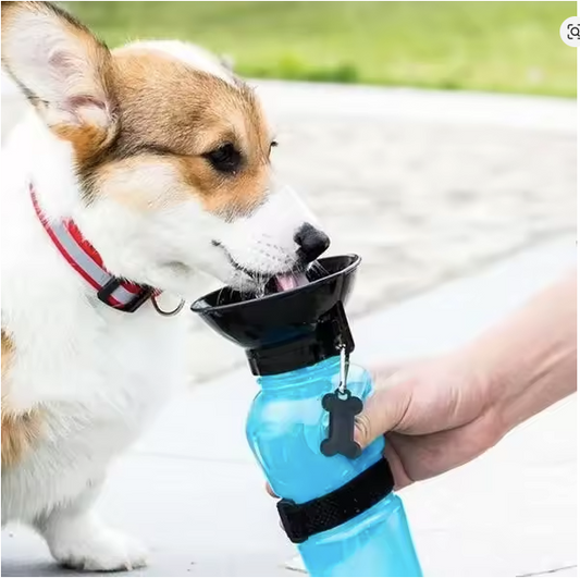 Bebedero Portatil Agua Para Mascotas