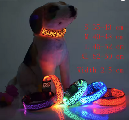 Collar LED Para Mascotas