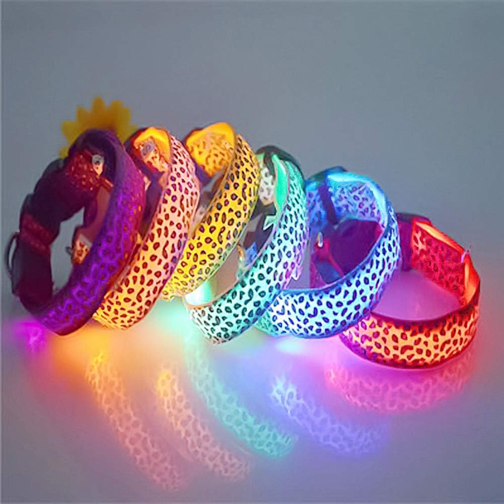 Collar LED Para Mascotas
