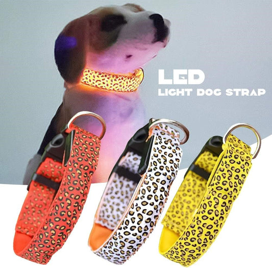 Collar LED Para Mascotas