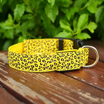 Collar LED Para Mascotas