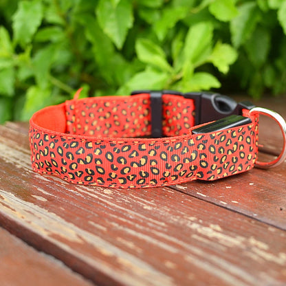 Collar LED Para Mascotas