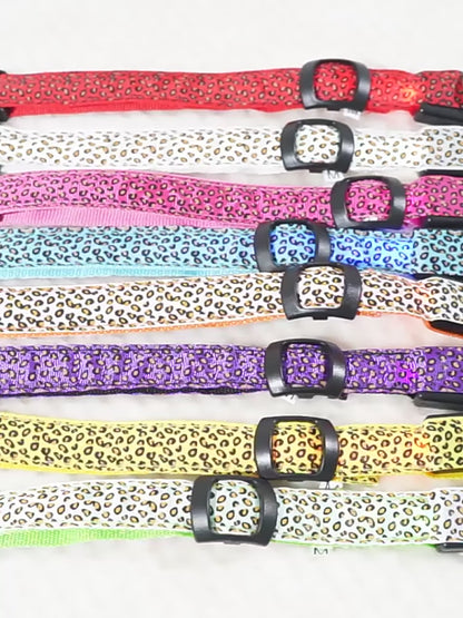 Collar LED Para Mascotas